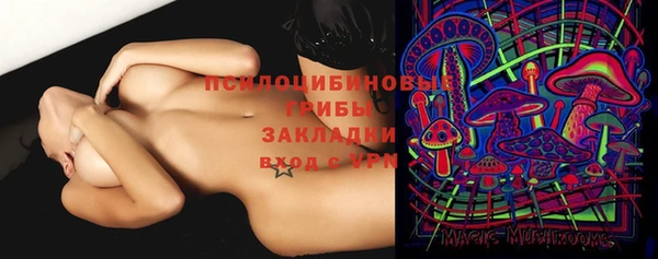 молекула духа Навашино