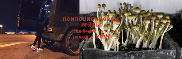 молекула духа Навашино