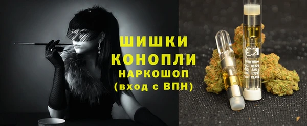 молекула духа Надым
