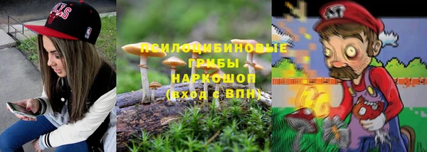 молекула духа Навашино
