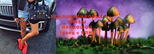 молекула духа Надым