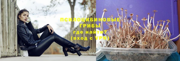 молекула духа Навашино