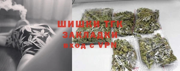 молекула духа Надым