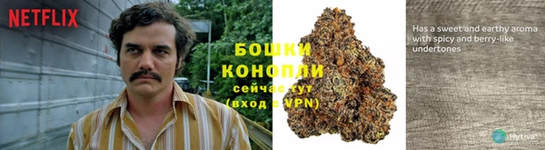 jwh Бугульма