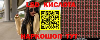 гашик Гатчина