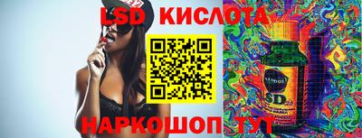 дмт Гай