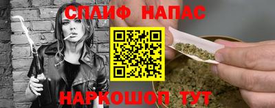 гашик Гатчина