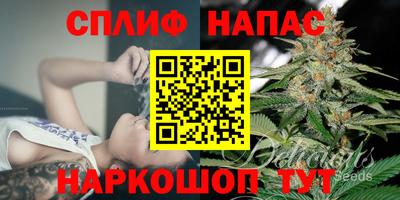 ешки Гагарин