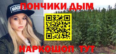 гашик Гатчина