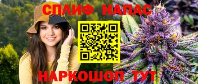 дмт Гай