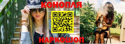 гашик Гатчина