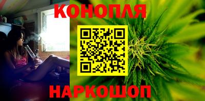 дмт Гай