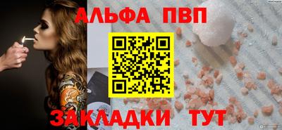 дмт Гай