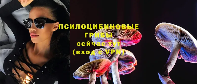 blacksprut сайт  Краснотурьинск  Галлюциногенные грибы Psilocybe 