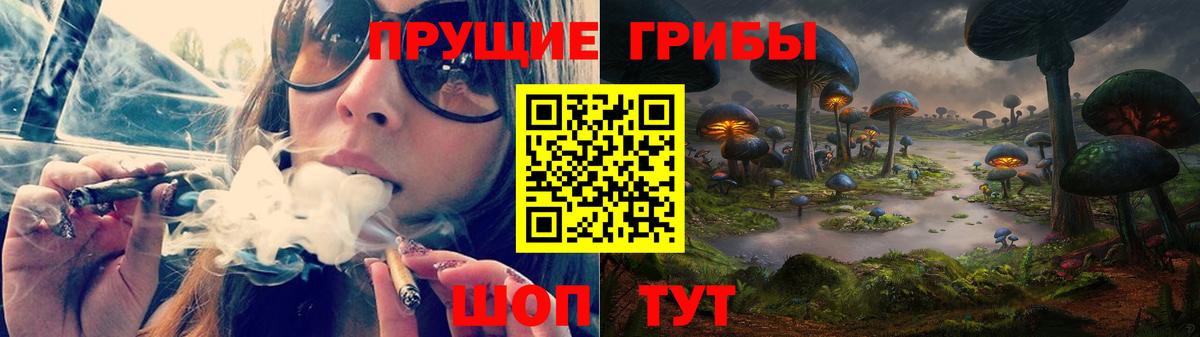 Краснотурьинск  Псилоцибиновые грибы Psilocybe  Вход с VPN 